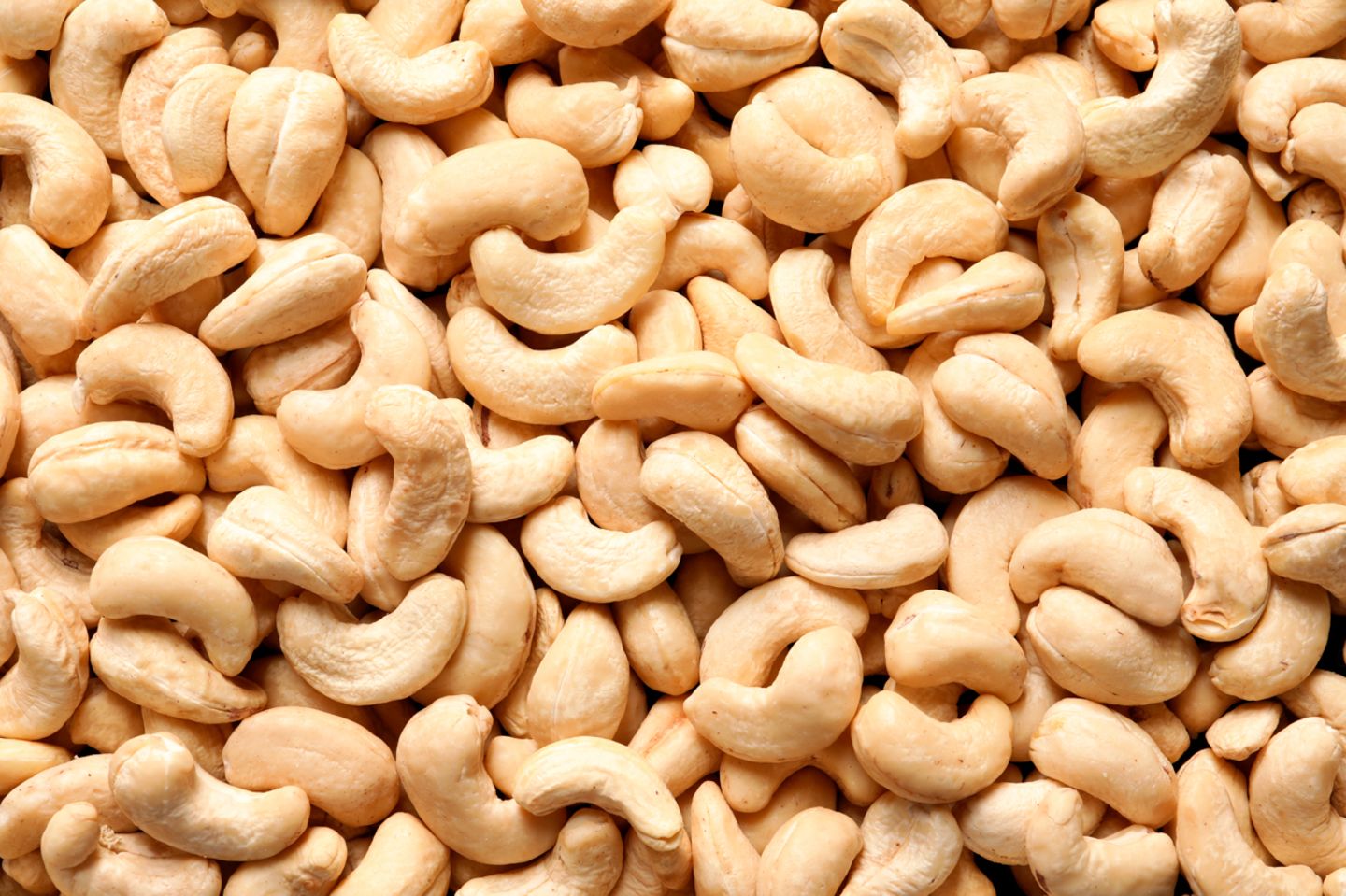 cashew nüsse gesund