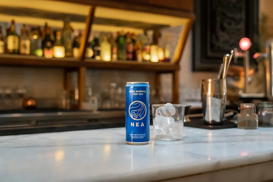NEA Water Dosen Wasser – Quellwasser in umweltfreundlicher Verpackung