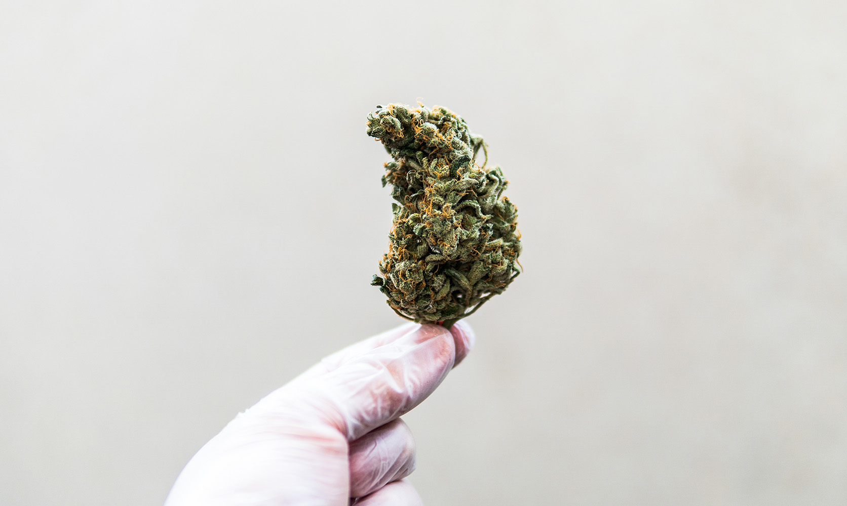 CBD Blüten – Genieß den Unterschied, den CBD Blüten machen